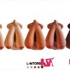 Climax L-MTorso 8kg トルソー ラブドール 普通胸付き - 画像 (4)